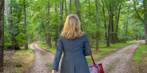 Choose between two career paths
