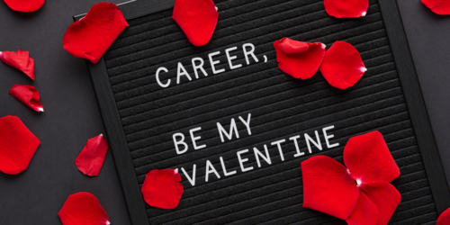 Love the career you have